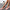 Comfort ballerina’s met schokdempende gelzool – Lara