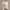 Off-Shoulder Gebreide Trui met Elegante Pasvorm – Sophie