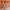 Dames set met print en stijlvolle lente-zomer look – Nayeli