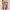 Dames Shorts Zomer Comfort Zakdesign Trendy – Revanya