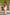 Strapless bloemenjurk voor dames met elegante pasvorm – Fiorella