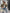 Stijlvol kort damesjack casual – Sophia