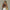 One-Shoulder Badpak Goud Details Luxe Look – Marvessa