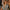 Gestreept Badpak Cut-Out Diepe Hals Luxe – Valnora