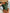 Rugloos Badpak Ruffle Design Flatterende Look – Lurevya