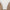 Monokini Badpak Halter Ceintuur Stijlvol Design – Naverra