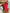 Rugloos Badpak Ruffle Design Flatterende Look – Lurevya