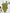 Monokini Badpak Mesh Verleidelijk Flatterend Design – Seravina