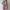 Twee-delige dames set met kraag en shorts – Evelyne