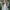 Boho dames set met halternek en rugloos design – Selene