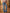 Flatterende dames jeans met hoge taille en stretch - Sophie