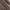 Dames winterjas suède look fleece warm en stijlvol – Arvaya
