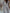 Lente Zomerset Met V-Hals En Comfort – Mila