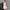 Mesh Mini Jurk met Lage Rug en Geplooide Details – Mila