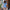 Denim dames set met V-hals top en broekrok – Zeylani