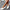 Comfort ballerina’s met schokdempende gelzool – Lara