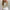Sprankelende Blazer met Glitters – Lotje