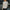 Sprankelende Blazer met Glitters – Lotje