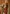 Dames trenchcoat licht oversized lentejas stijlvol – Elinora