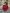 Dames off-shoulder gebreide top met elegante pasvorm – Laura