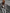 Luipaardprint Pufferjack met Trendy Pasvorm – Ava