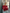 Dames off-shoulder gebreide top met elegante pasvorm – Laura