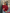 Dames off-shoulder gebreide top met elegante pasvorm – Laura