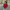 Dames off-shoulder gebreide top met elegante pasvorm – Laura