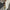 Zomerse dames set met top en elegante broek – Alivya