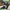 Comfortabele Barefoot Schoenen voor Natuurlijke Beweging en Houding – VitalStep