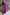 Satijnen dames pak V-hals tweedelig elegant set – Elairra