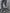 Bootcut Jeans Met Luxe Studdetails Voor Haar – Yara