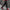 Stretchy Denim Cargo Broek voor Heren met Zakken – Levi