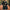 Tijdloze dames trenchcoat met modern design – Elise