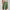 Dames Shorts Zomer Comfort Zakdesign Trendy – Revanya