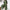 Losse dames jumpsuit met knopen en relaxte pasvorm – Livia