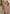 Warme Oversized Wintervest met Capuchon – Gineke