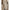 Warme Oversized Wintervest met Capuchon – Gineke