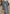 Warme Oversized Wintervest met Capuchon – Gineke