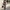 Dames winterjas suède look fleece warm en stijlvol – Arvaya