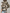 Bomberjack met bloemen voor dames – Fleur