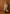 Dames trenchcoat licht oversized lentejas stijlvol – Elinora