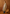 Dames trenchcoat licht oversized lentejas stijlvol – Elinora