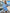 Herfst dames set met lange mouwen en shorts – Maelie
