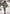 Dames winterjas vintage stijl elegant en warm – Isabeau