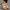 Comfort sandalen dames voetondersteuning licht ademend - Flore