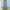Boho damesjurk met florale print en volants – Yara