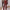 Dames Trainingspak Stijlvol Comfort V-Hals Set – Elvarra