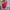 Dames gehaakte trui V-hals langemouw elegant warm – Lymira