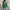 Dames gehaakte trui V-hals langemouw elegant warm – Lymira